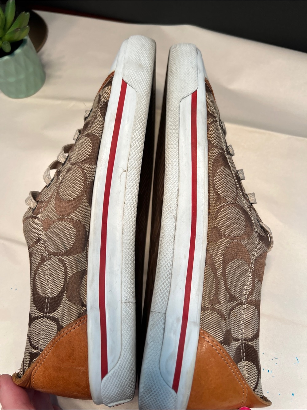 Coach Barrett Signature Canvas Low-Top Sneakers in Brown with Cream Accents - Picture 6 of 8